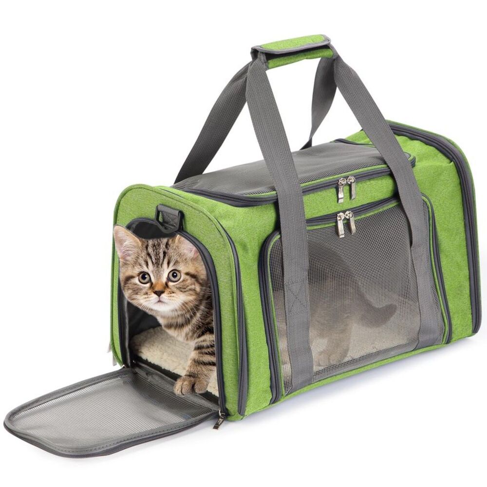 Mr Pen Soft Sided Pet Carrier Medium 17.5x11.2x11.5 Green Airline Approved
